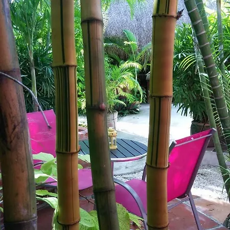 Bed & Breakfast Casa Don Diego