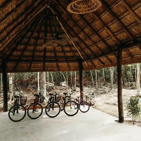 Eco By Biwa Lodge *