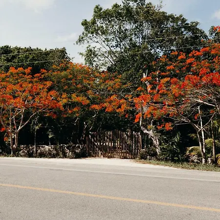 Eco By Biwa Lodge *