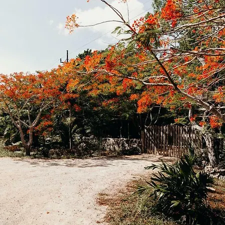 Eco By Biwa Tulum
