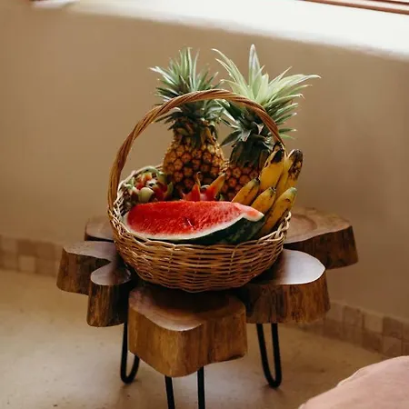 Eco By Biwa * Tulum