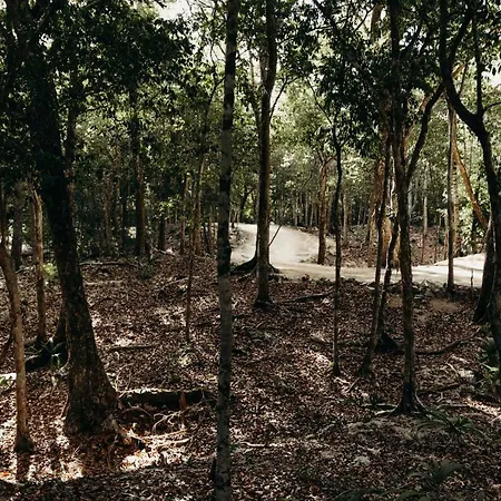 Lodge Eco By Biwa Tulum