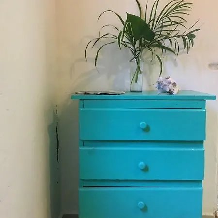 Cha Cha Cha
