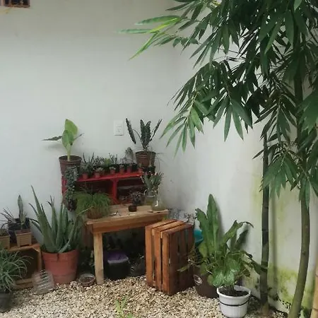 Casa Neptuno * Tulum