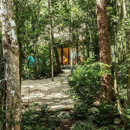 Lumapi Lodge Tulum
