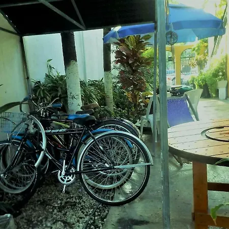 Chichi House