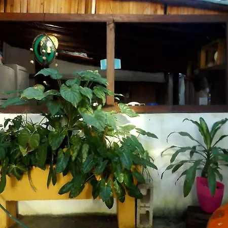 Guest house Chichi House *