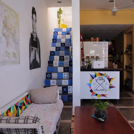 Day Tripper Hostel *