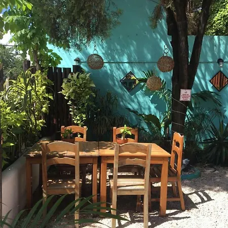 Cha Cha Cha Tulum