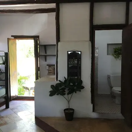 Hostal Cha Cha Cha