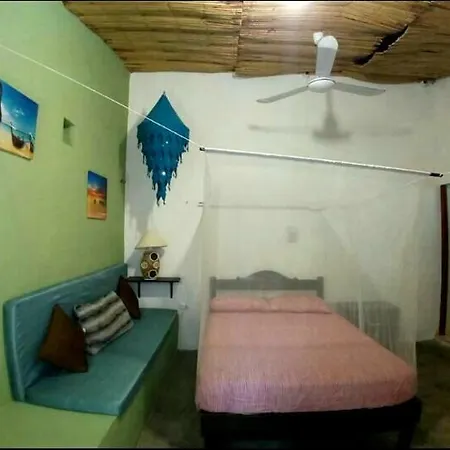 Chichi House *