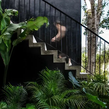 Lagu Masterpiece Jungle 5br Pool & Villa Tulum