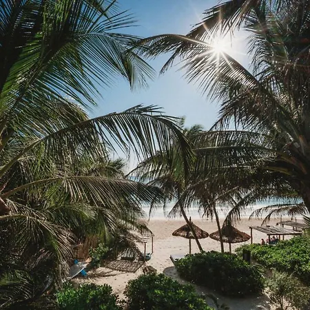 Beautiful House On Zone Tulum