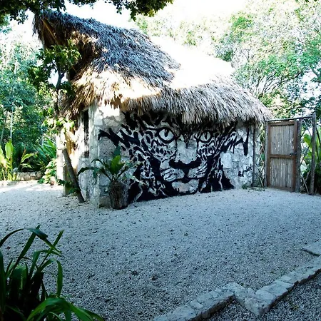 Huaya Camp