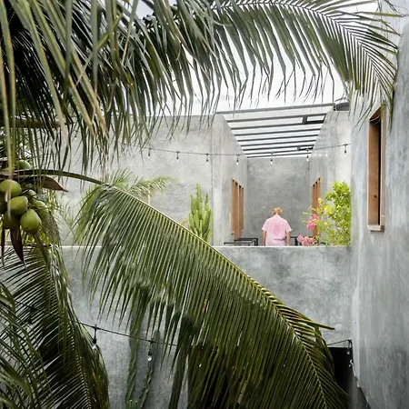Hostel Lum