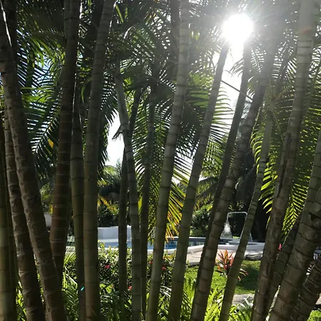 El Capitan Hotel 3*