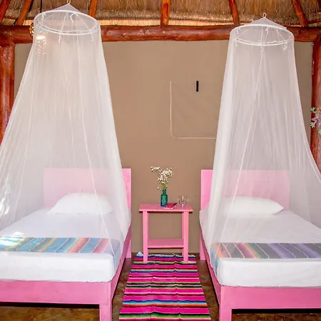 Joy Adults Only Tulum