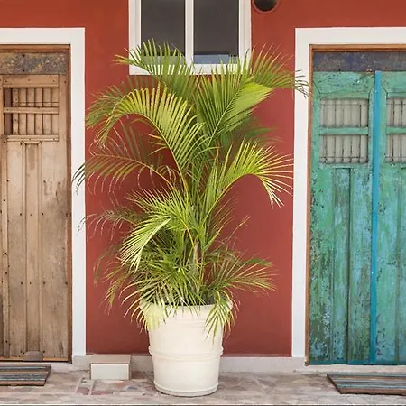 Hotel Casa Colonial
