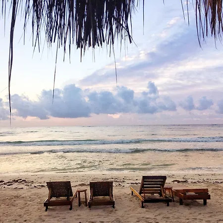 Hotel Playa Canek Beachfront Eco 4*