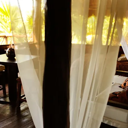 Casa Selva De Luz *