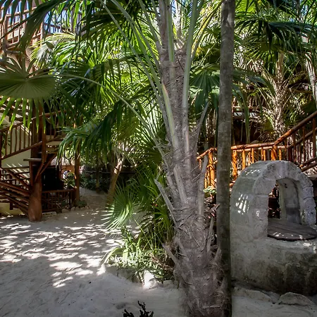 Hotel Playa Canek Beachfront Eco 4*