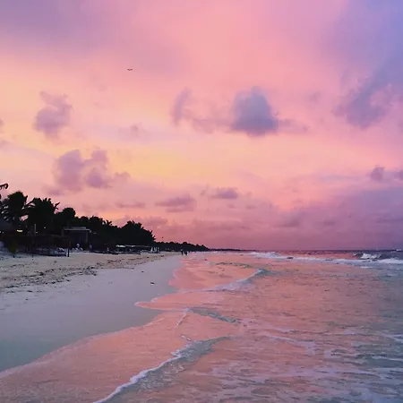 Playa Canek Beachfront Eco Tulum