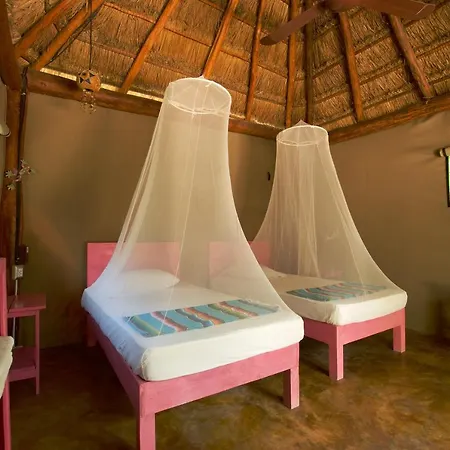 Joy - Adults Only. Tulum