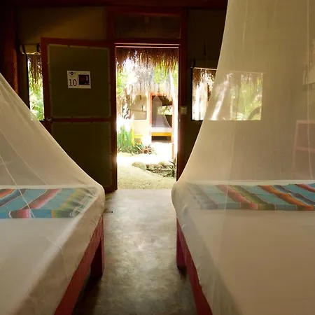 Joy - Adults Only. Lodge Tulum