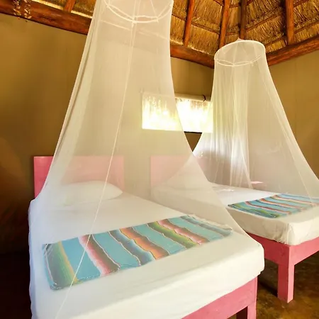 Joy - Adults Only. Lodge *