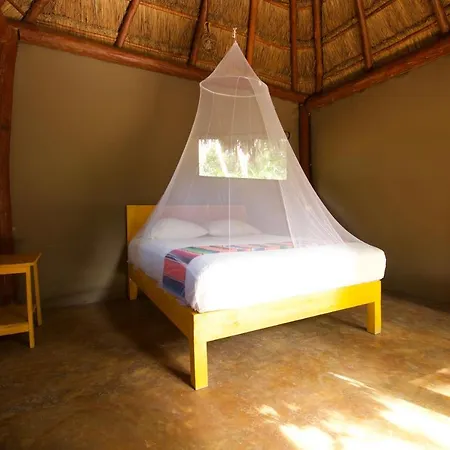Joy - Adults Only. Tulum