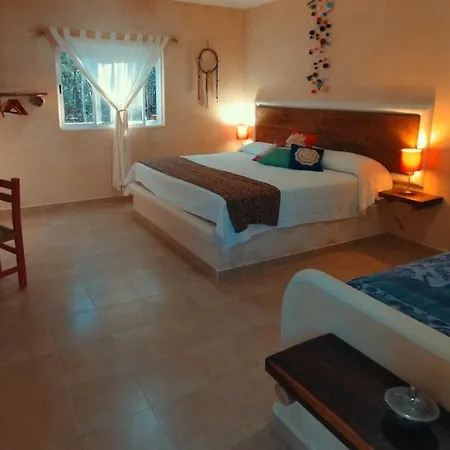 Casa Tzalam Selva