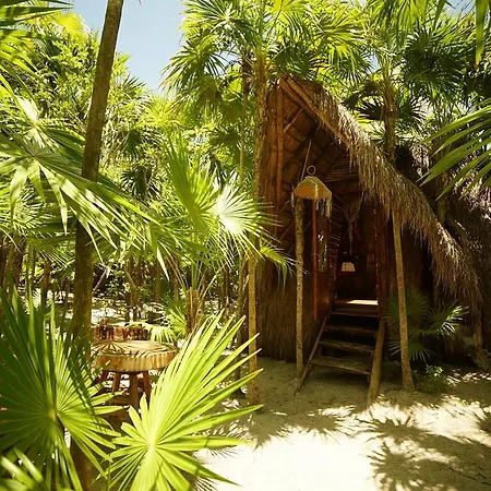Hotel Ikal