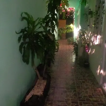 The Hobbit Jungle A Bike Included Guest house