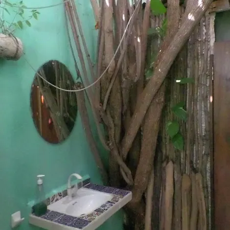 The Hobbit Jungle A Bike Included *