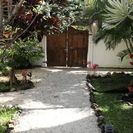 Hotel Maya Pax 3*