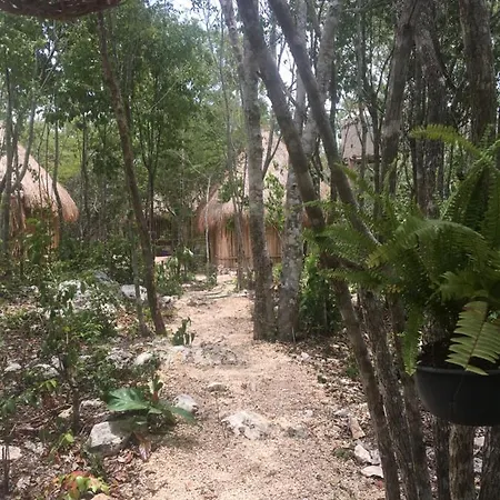 Bed & Breakfast Aldea Yuyu