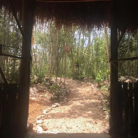Bed & Breakfast Aldea Yuyu *