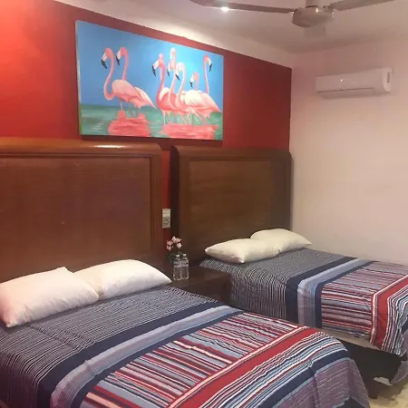 Hotel Sun Caribbean Divine 2*