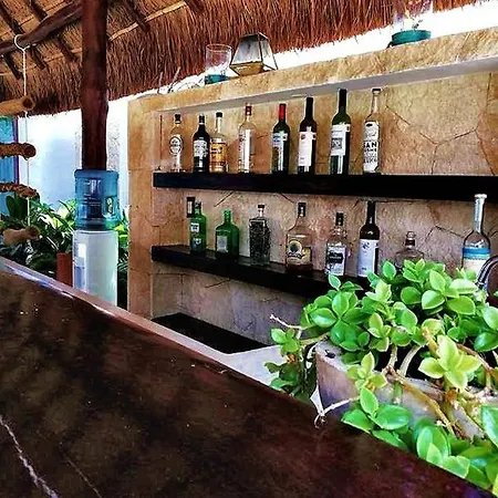 Alemaya Apart Amazing & Ecological Couple Jungle Retreat Aparthotel *