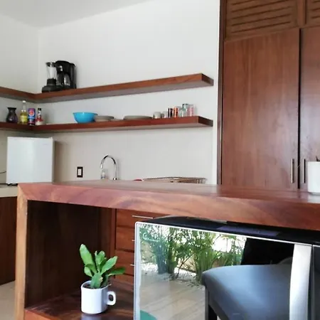 Alemaya Apart Amazing & Ecological Couple Jungle Retreat Aparthotel Tulum