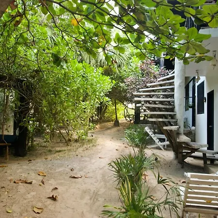 Zulum Hotel Tulum