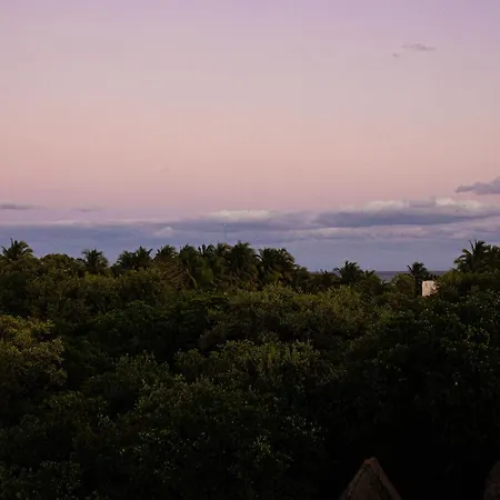 Mamasan Treehouses & Hotel