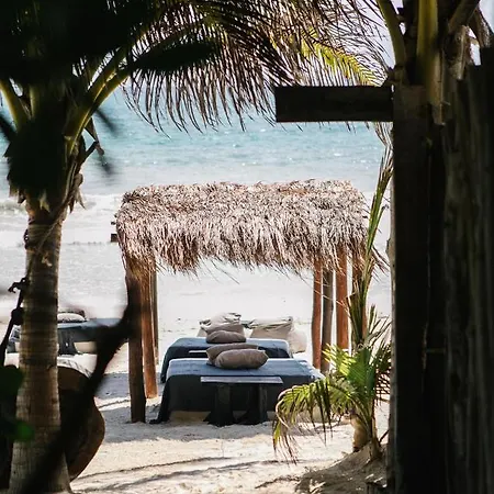Nest Hotel