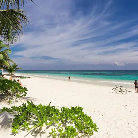 Villa Aldea Beachfront Tulum