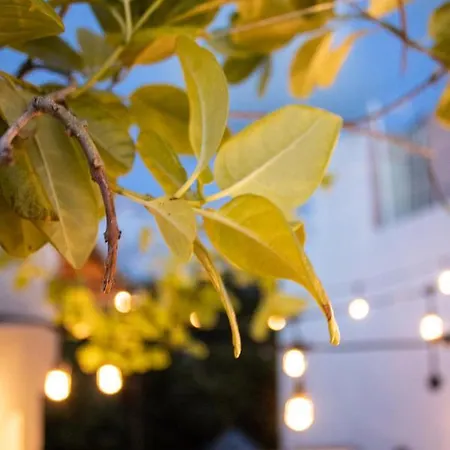 Hotel Banana Tulum