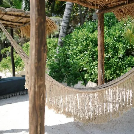 Nest Hotel