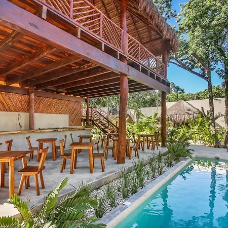 Zenses Wellness And Yoga - Adults Only 4*