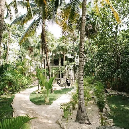 Hotel Nest Tulum