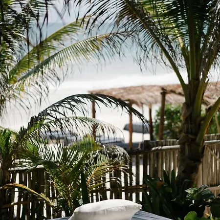 Nest 4*
