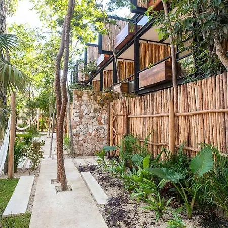 Hotel Amaka Calma By Cercana